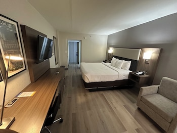 Standard Room, 1 King Bed, Non Smoking