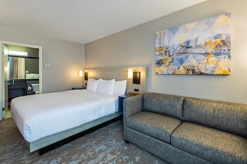Room, 1 King Bed, Non Smoking