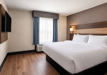 Suite, 1 Bedroom