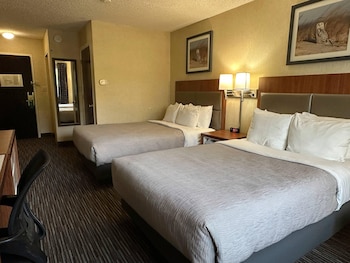 Standard Room, 2 Double Beds, Non Smoking