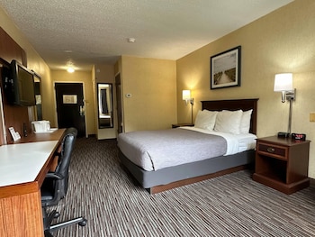 Standard Room, 1 Queen Bed, Non Smoking