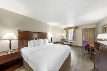 Standard Room, 1 Queen Bed, Non Smoking (Pet Friendly)