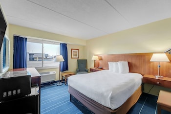 Basic Room, 1 Queen Bed