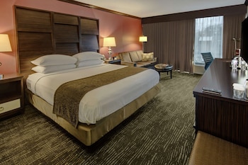 Room, 1 King Bed, Accessible, Bathtub (Mobility)