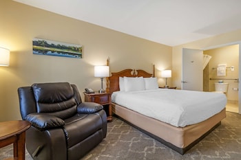Standard Room, 1 King Bed, Accessible, Bathtub