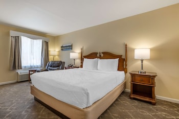Standard Room, 1 King Bed, Accessible, Bathtub