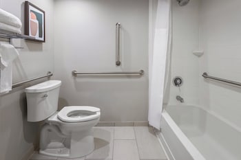 Premium Room, 1 King Bed, Accessible Bathtub (Mobility Accessible)