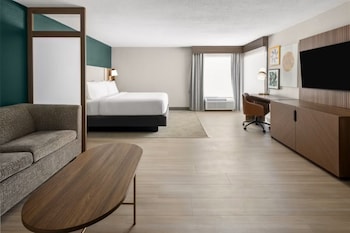 Premium Room, 1 King Bed, Accessible Bathtub (Mobility Accessible)