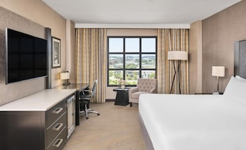 Room, 1 King Bed