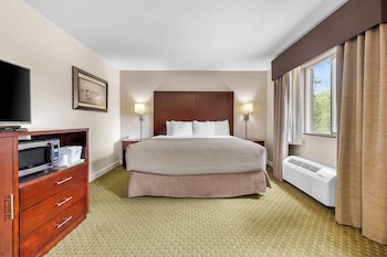 Suite, 1 King Bed, Non Smoking