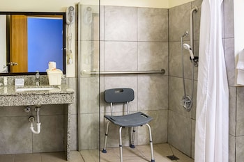 Room, 1 Queen Bed, Accessible, Non Smoking (Roll-In Shower)