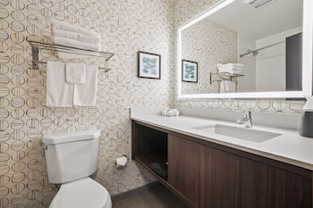 Standard Room, 1 King Bed (Bath Shower Combo)