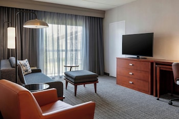 Room, 1 King Bed with Sofa bed (Hearing Accessible)