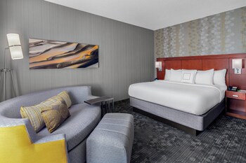 Room, 1 King Bed with Sofa bed