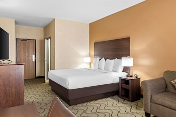 Standard Room, 1 King Bed