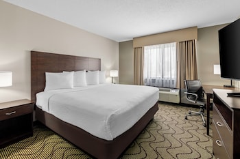 Standard Room, 1 King Bed