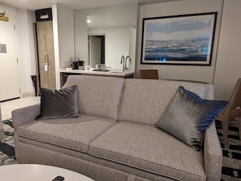 Suite, 1 Bedroom