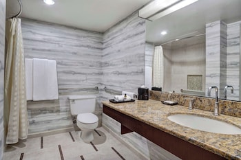 Room, 1 King Bed, Accessible (SHOWER)