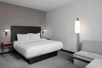 Room, 1 King Bed with Sofa bed