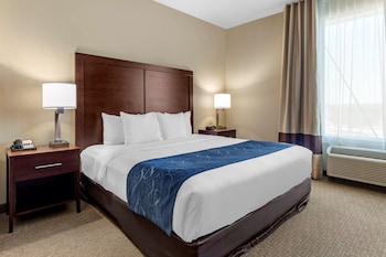 Suite, 1 King Bed with Sofa bed, Accessible, Non Smoking
