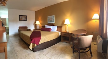 Room, 1 King Bed, Non Smoking