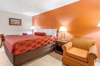 Room, 1 King Bed, Non Smoking