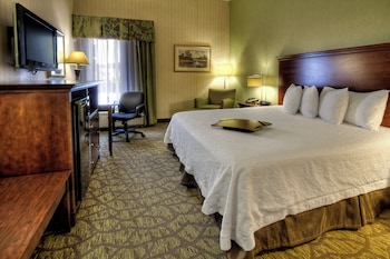 Room, 1 King Bed