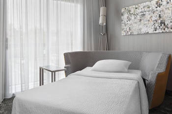 Room, 1 King Bed with Sofa bed (Mobility Accessible, Roll-In Shower)