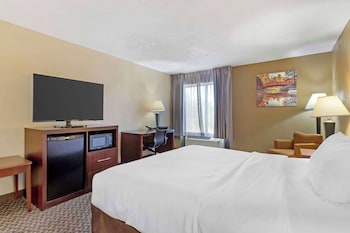 Standard Room, 1 King Bed, Non Smoking (No Pets)