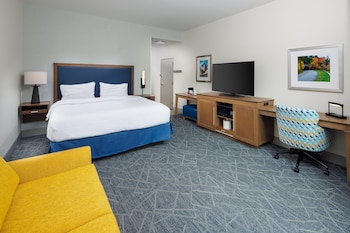 Room, 1 King Bed with Sofa bed, Microwave