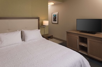Room, 1 King Bed, Non Smoking, Refrigerator