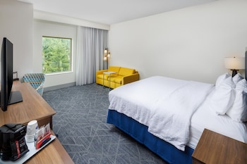 Room, 1 King Bed with Sofa bed, Microwave