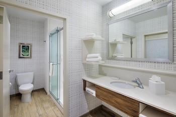 Studio Suite, 1 King Bed with Sofa bed, Microwave (Wet Bar)