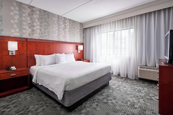 Room, 1 King Bed (Mobility/Hearing Access, Roll-In Shwr)