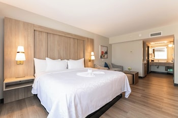 Standard Room, 1 King Bed, Non Smoking, Jetted Tub