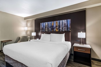 Standard Room, 1 King Bed, Non Smoking, Refrigerator & Microwave