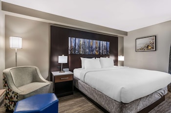 Standard Room, 1 King Bed, Non Smoking, Refrigerator & Microwave