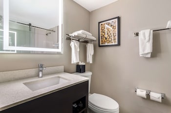 Standard Room, 1 King Bed, Accessible, Refrigerator & Microwave