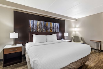 Standard Room, 1 King Bed, Non Smoking, Refrigerator & Microwave (Walk-in Shower)