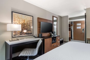 Standard Room, 1 King Bed, Non Smoking, Refrigerator & Microwave