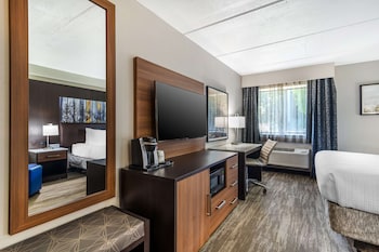 Standard Room, 1 King Bed, Non Smoking, Refrigerator & Microwave (Walk-in Shower)