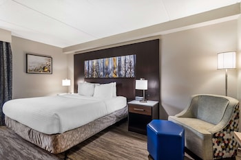 Standard Room, 1 King Bed, Non Smoking, Refrigerator & Microwave (Walk-in Shower)