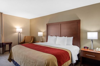 Room, 1 King Bed, Accessible, Non Smoking