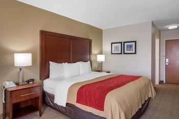 Standard Room, 1 King Bed, Non Smoking