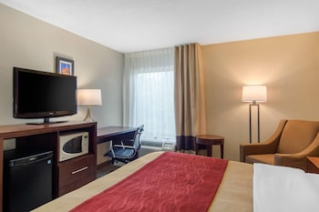 Room, 1 King Bed, Accessible, Non Smoking