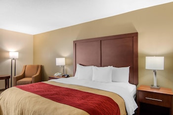 Standard Room, 1 King Bed, Non Smoking