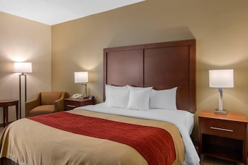 Room, 1 King Bed, Accessible, Non Smoking