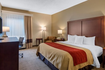 Room, 1 King Bed, Accessible, Non Smoking