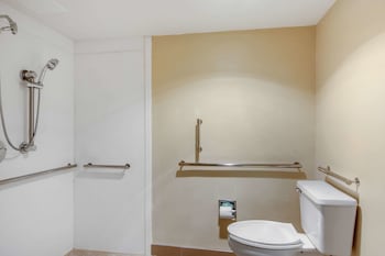 Room, 1 King Bed, Accessible, Non Smoking