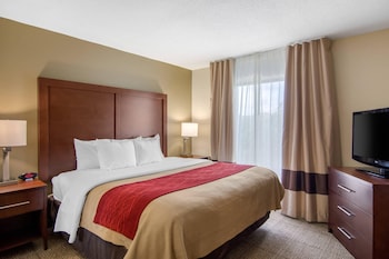 Suite, 1 King Bed, Non Smoking